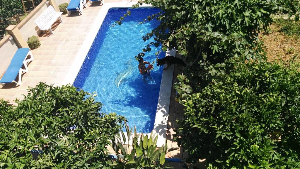 Apartamento Mar Y Montana Argentona Exteriör bild