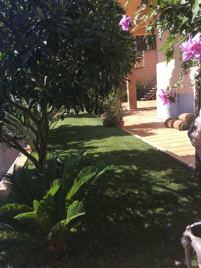Apartamento Mar Y Montana Argentona Exteriör bild
